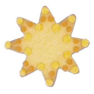 Städter Ausstechform Sonne 4,5 Cm 6